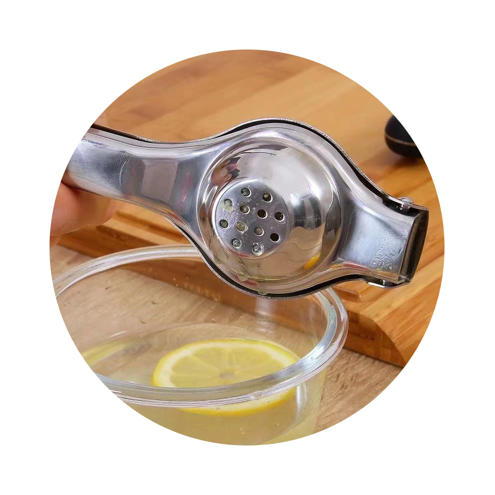Stainless Steel Manual Fruit Squeezer