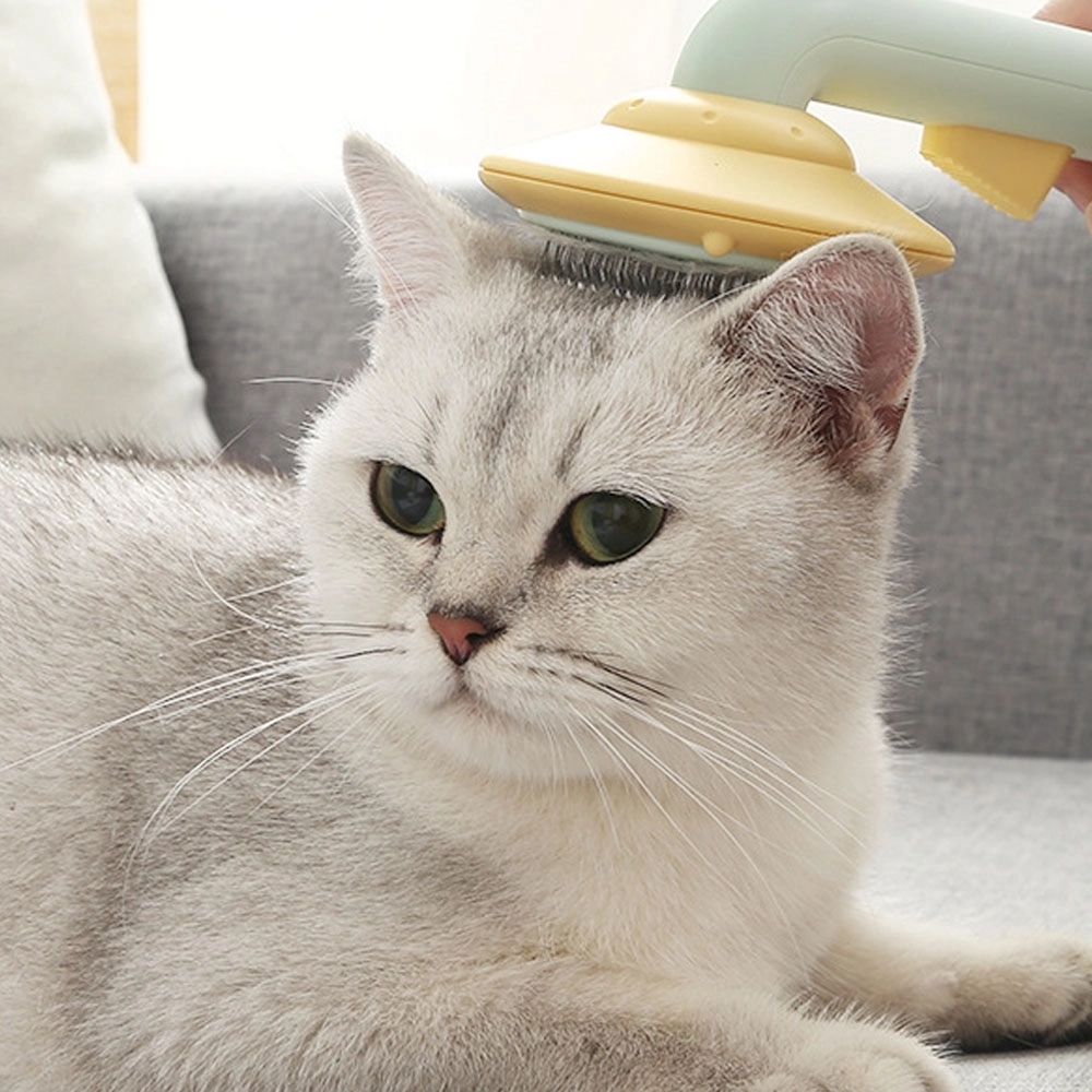 Gentle Pet Hair Removal Brush With Massage Head