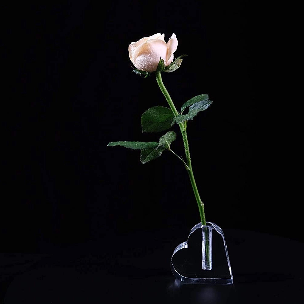 Heart Shaped Acrylic Rose Display Stand