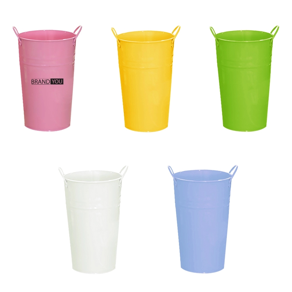 Colorful Painted Metal Double-Handle Flower Pot Decor