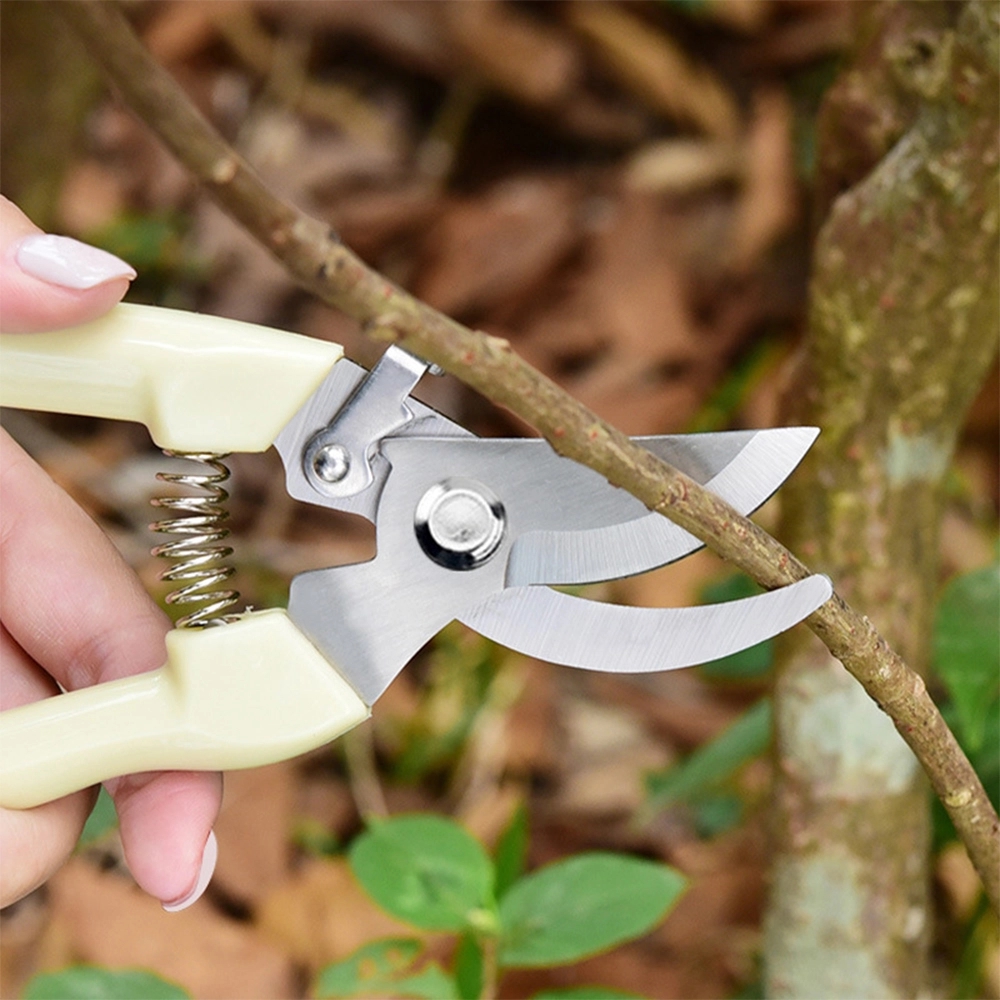 Stainless Steel Garden Tool, Safety Buckle & Plastic Handle