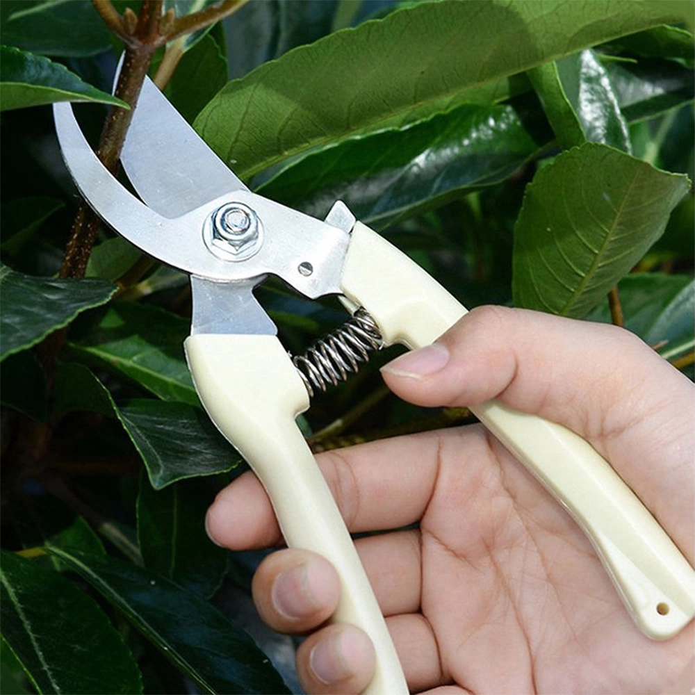 Stainless Steel Garden Tool, Safety Buckle & Plastic Handle