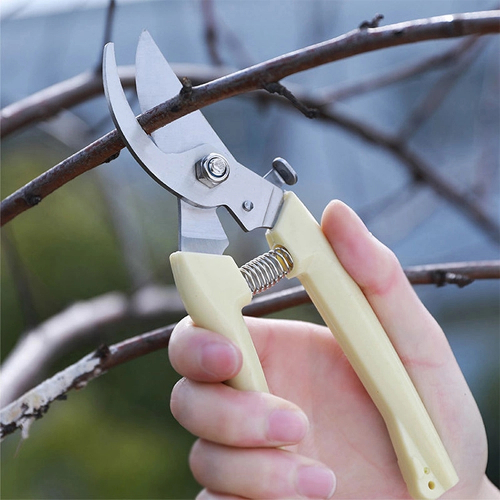 Stainless Steel Garden Tool, Safety Buckle & Plastic Handle