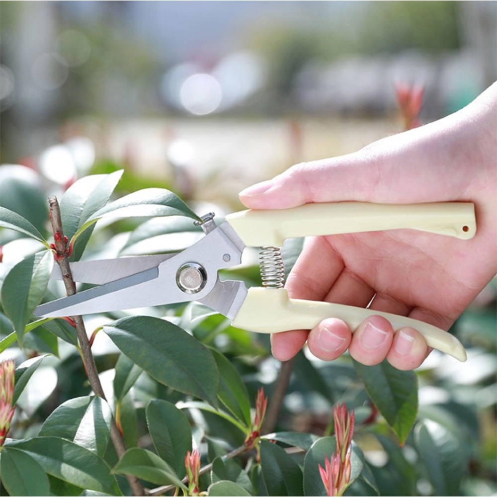 Stainless Steel Pruning Shears With Safety Buckle