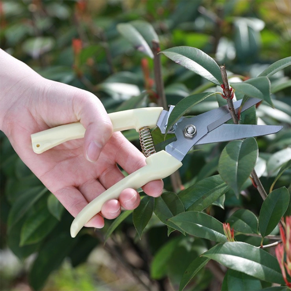 Stainless Steel Pruning Shears With Safety Buckle