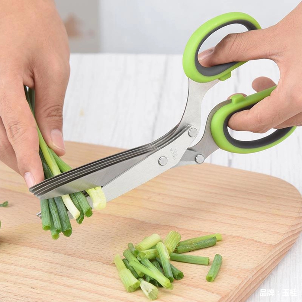 5-Layer Stainless Steel Scissors for Herbs, Vegetables