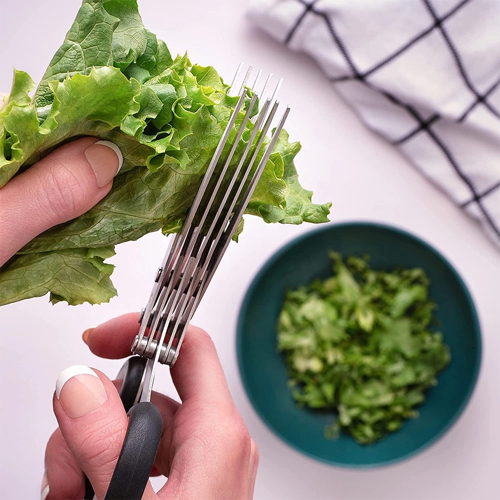 5-Layer Stainless Steel Scissors for Herbs, Vegetables