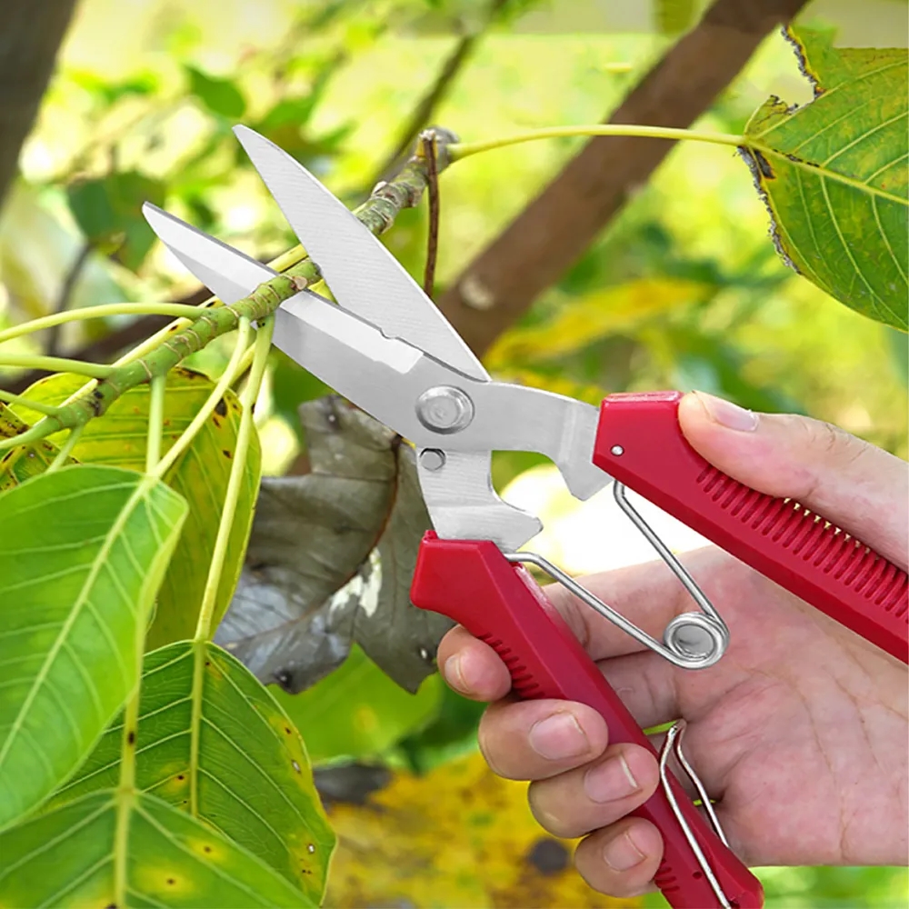 High Hardness Stainless Steel Multifunctional Scissors