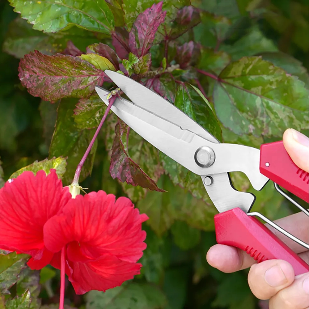 High Hardness Stainless Steel Multifunctional Scissors