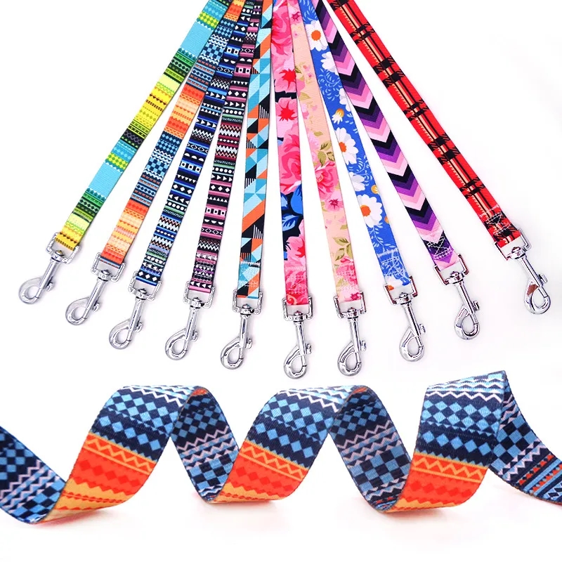 Pet Dog Leash with Easy-to-Use Collar Hook
