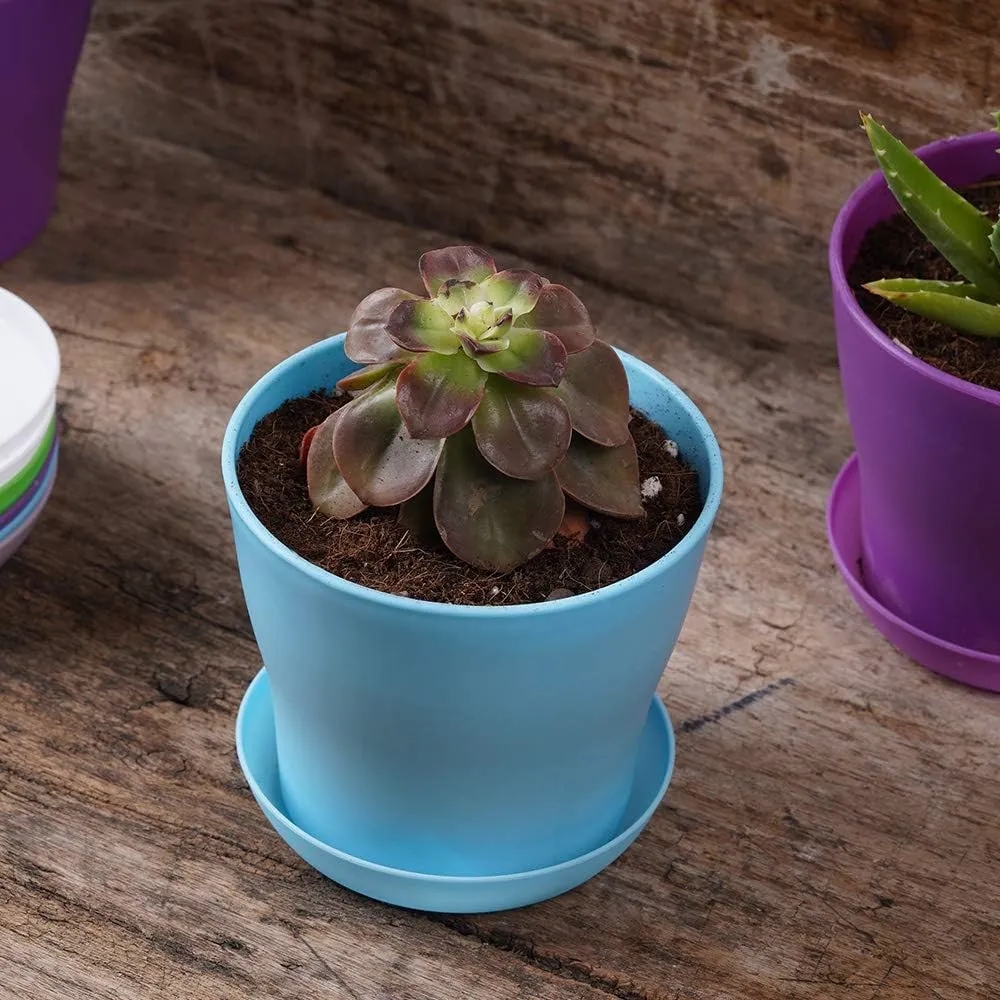 Modern Plastic Mini Indoor Flower Pot Planters with Pallet