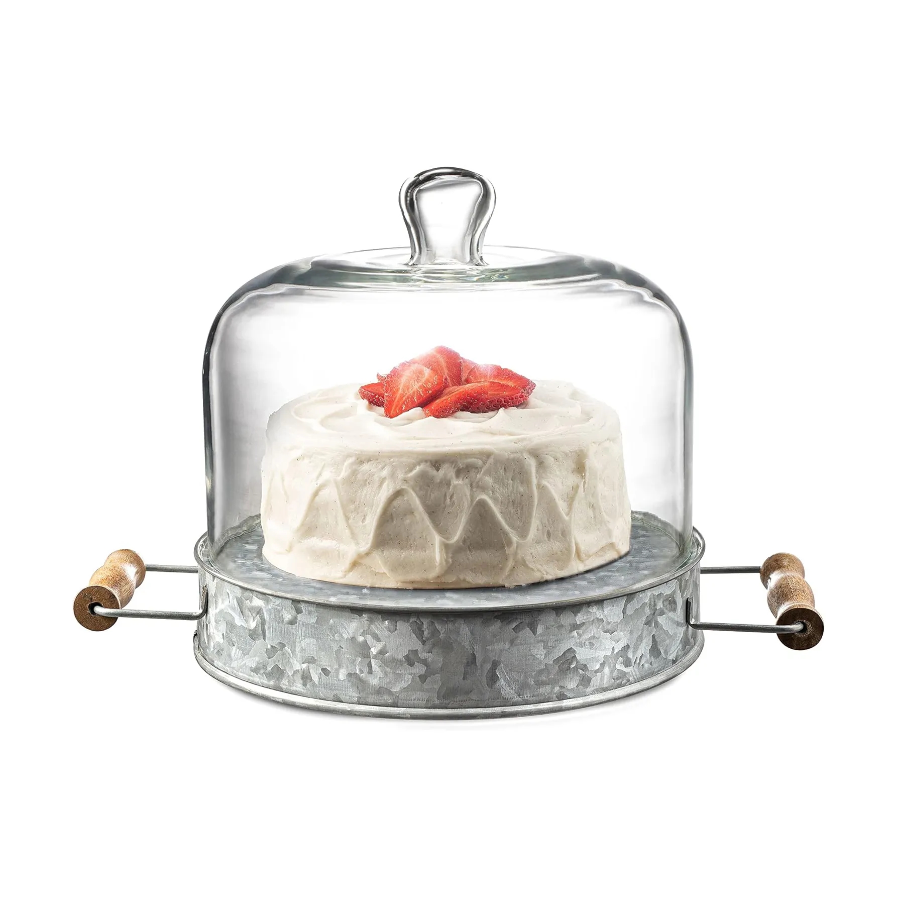 Rustic Galvanized Steel Cake Plate w/ Glass Dome & Handles