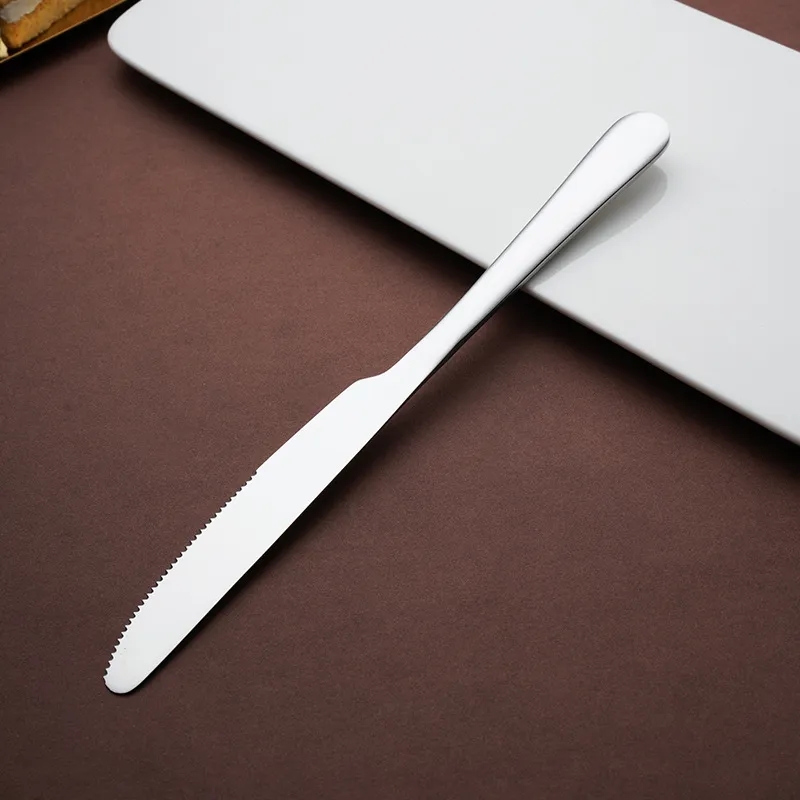 9-Inch Stainless Steel Steak and Butter Knife Flatware